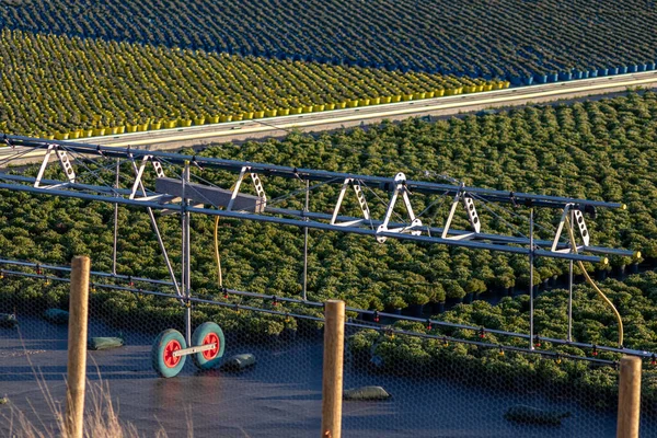 Bewässerungssystem Auf Grünem Landwirtschaftlichen Feld — Stockfoto