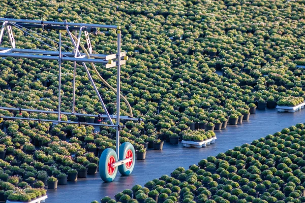 Bewässerungssystem Auf Grünem Landwirtschaftlichen Feld — Stockfoto