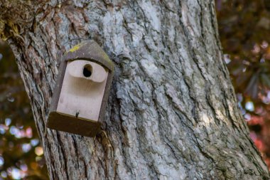 Ormandaki ağaçtaki ahşap kuş evi. 