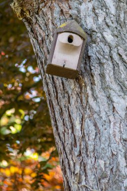 Ormandaki ağaçtaki ahşap kuş evi. 
