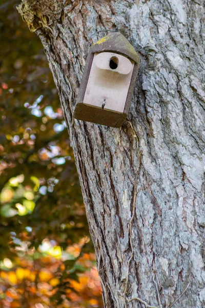 Ormandaki ağaçtaki ahşap kuş evi. 