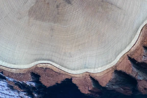 Gehölze Aus Bauholz Nach Der Entwaldung Die Als Holzstapel Gestapelt — Stockfoto