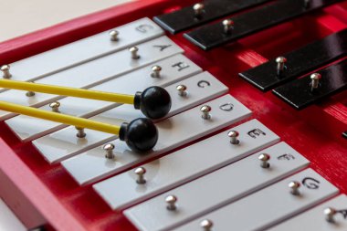 Eğitimsel müzik sanatları için davul çubukları olan taşınabilir ksilofon veya sticcado klasik yaratıcılık enstrümanı ve klavye ritmi için müzisyenler melodileri dinlemek ve neşe çalmak için vitesli sopa kaymaları ile