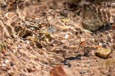Işıl ışıl suda kayalar, berrak bir su deresinin suyunda yansıyan güneşli yansımalarla doğal arka planda zen meditasyonu, küçük dalgalar ve sağlıklı bir dağdaki ipeksi dalgalar görülüyor.