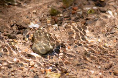 Işıl ışıl suda kayalar, berrak bir su deresinin suyunda yansıyan güneşli yansımalarla doğal arka planda zen meditasyonu, küçük dalgalar ve sağlıklı bir dağdaki ipeksi dalgalar görülüyor.