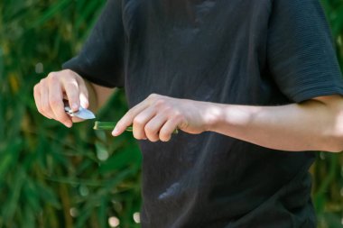 Yeşil dalı bıçakla kesen adamın kısmi izi.