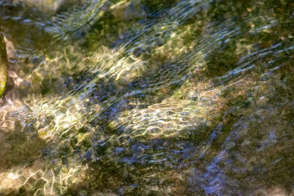 Kövek Szikrázó Vízben Napsütötte Tükröződések Kristálytiszta Víz Patak Vizében Mivel — Stock Fotó