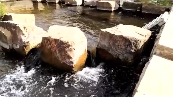 Little City Creek Calm Flowing Water Slow Motion Rocks Water — Video