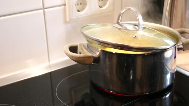 Big Pot Boiling Water Cooking Potatoes Dinner Delicious Meal Healthy — ストック動画