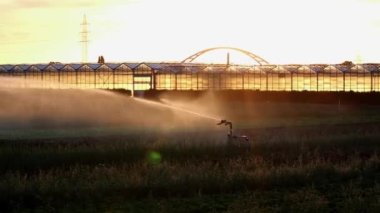 Agricultural irrigation system is needed due to hot summer and drought caused by climate change threatens agriculture and farming industry with dry weather and no rainfall inflate crop prices harvest