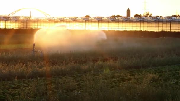 Agricultural Irrigation System Needed Due Hot Summer Drought Caused Climate — Video