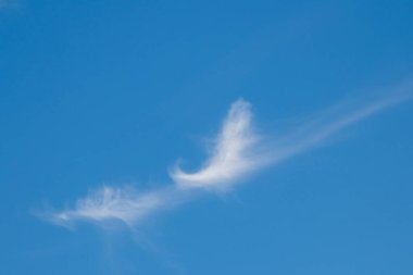 Mavi gökyüzü arka planında beyaz bulut 