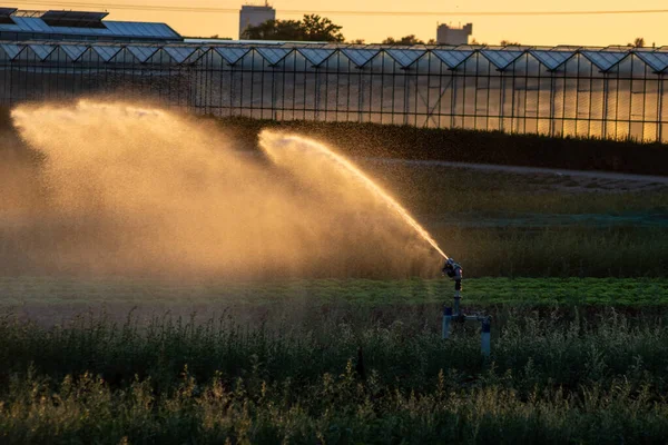 Agricultural Irrigation System Needed Due Hot Summer Drought Caused Climate — Stockfoto