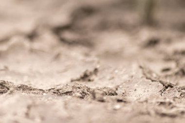 No rainfall causes dry fields during drought after very hot heat periode in summer for wasteland with cracked surface and broken farmland due to climatic change and global warming for crop loss drain