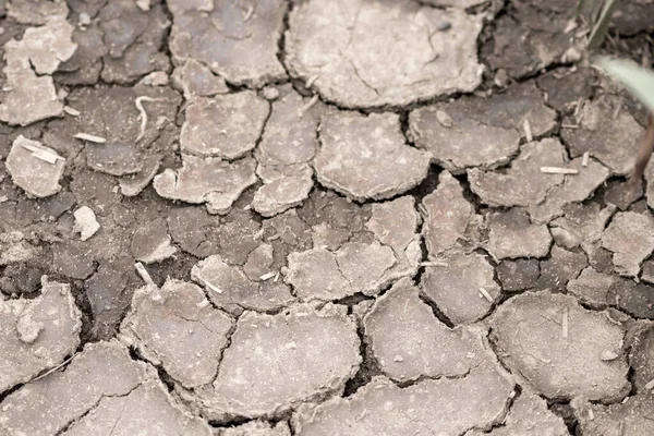 No rainfall causes dry fields during drought after very hot heat periode in summer for wasteland with cracked surface and broken farmland due to climatic change and global warming for crop loss drain