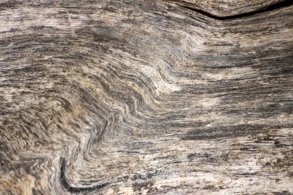 Natural Figure Organic Wooden Grain Shows Tree Details Hardwood Surface — ストック写真