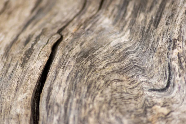 Natural figure of organic wooden grain shows tree details of hardwood surface cut for furniture production in timber and lumber industry sustainable material and renewable resource natural wood grain