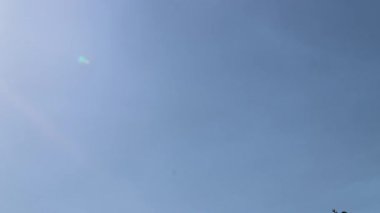 Shiny holy cross with sparkling sunbeams through foliage and sky shine a light of spiritual faith and christianity with symbol for religious death and gods resurrection in sunset cemetery grave stone