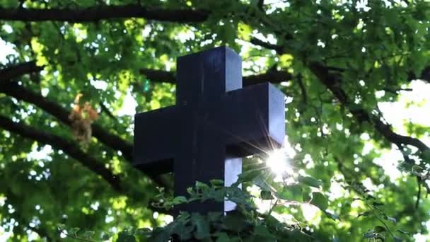 Блестящий Святой Крест Сверкающими Солнечными Лучами Сквозь Листву Небо Сияет — стоковое видео