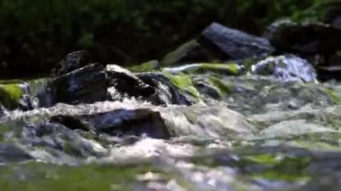 Calm floating creek through idyllic green forest scenery with little waves and stones in the calm river shows relaxing hiking tourism with clear water and a wonderful healthy environment motion brook