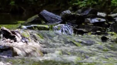Calm floating creek through idyllic green forest scenery with little waves and stones in the calm river shows relaxing hiking tourism with clear water and a wonderful healthy environment motion brook