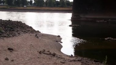 Extreme low water line in river Rhine Dsseldorf in extreme drought with no rainfall causes drying out riverbed and low tide shows global warming and climate change with dry riverbank water shortage