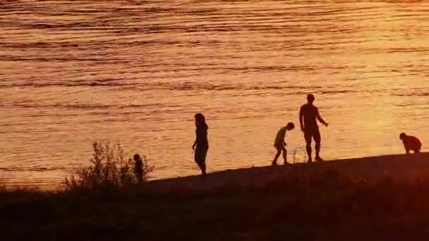 Счастливое Семейное Приключение Пляже Золотом Закате Семейными Силуэтами Летом Играя — стоковое видео