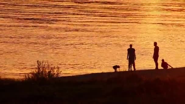 Happy Family Beach Adventure Golden Sunset Family Silhouettes Summer Playing — Stockvideo