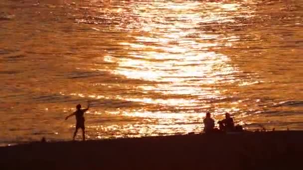 Happy Family Beach Adventure Golden Sunset Family Silhouettes Summer Playing — Vídeos de Stock