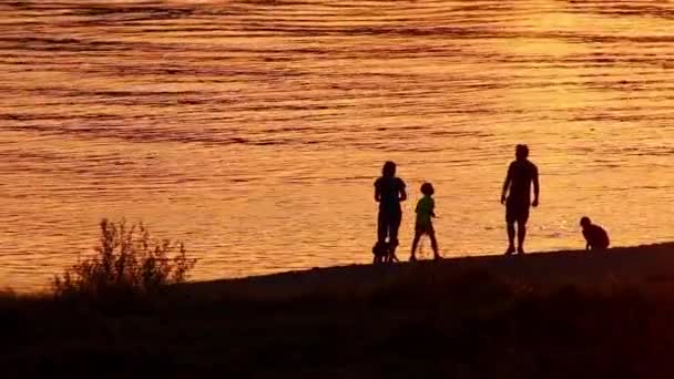 Счастливое Семейное Приключение Пляже Золотом Закате Семейными Силуэтами Летом Играя — стоковое видео