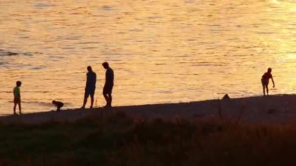 Happy Family Beach Adventure Golden Sunset Family Silhouettes Summer Playing — Stock Video