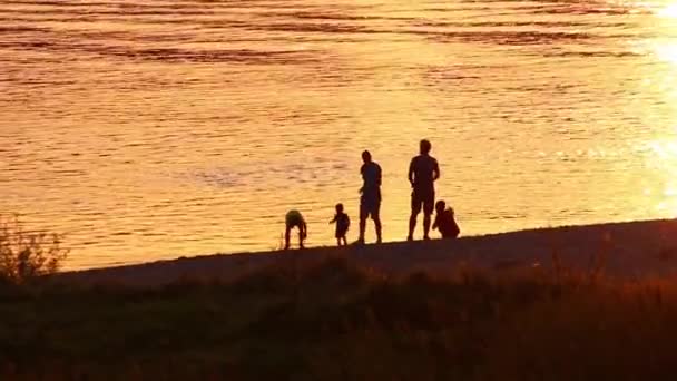 Happy Family Beach Adventure Golden Sunset Family Silhouettes Summer Playing — Stockvideo