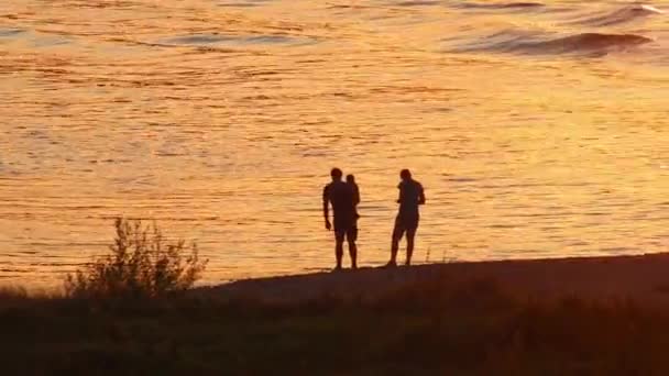 Щаслива Пригода Пляжі Під Час Золотого Заходу Сімейними Силуетами Влітку — стокове відео