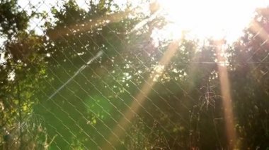 Agricultural irrigation system is needed due to hot summer and drought caused by climate change threatens agriculture and farming industry with dry weather and no rainfall inflate crop prices harvest