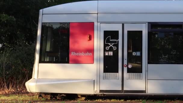 Trams Modernes Düsseldorf Allemagne — Video