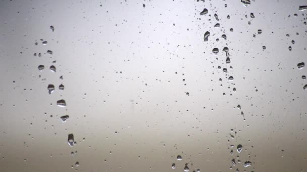 Curah Hujan Hari Pada Jendela Sebagai Tekstur Latar Belakang Santai — Stok Video