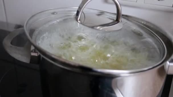 Batatas Fervendo Água Quente Panela Prata Fogão Cerâmico Mostram Cozinha — Vídeo de Stock