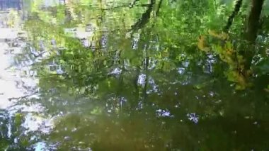 Sonbaharda güneşli, güneşli bir göleti olan şehir parkı ve su yüzeyindeki yansımaları ve yüzen ördekler ve su kuşları sakin bir manzara ve yürüyüş ve yürüyüş için dinlenme gölü.