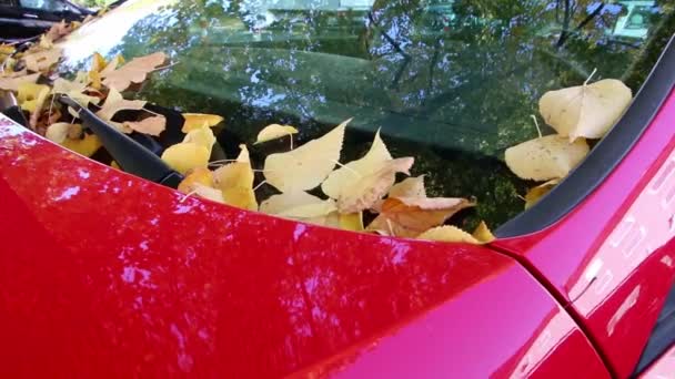 Gele Bladeren Herfst Voorruit Van Rode Auto Close Macro Uitzicht — Stockvideo