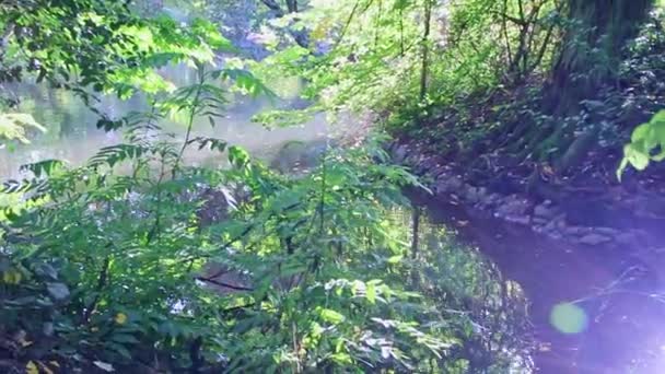 Stedelijk Openbaar Park Met Idyllische Vijver Herfst Met Zon Reflecties — Stockvideo