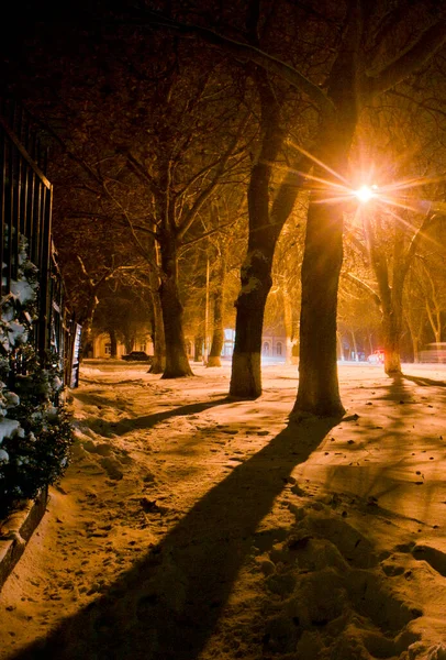 俄罗斯 克拉斯诺达尔领地 乌斯季拉宾斯克市 在晚上 南方的一个小镇有一种特殊的魅力 — 图库照片