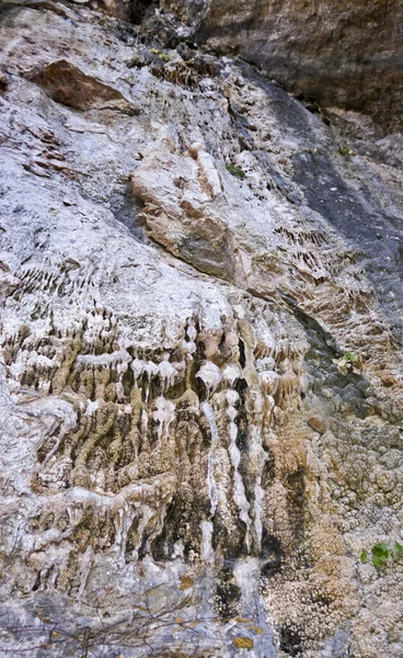 Emplacement Russie République Adygea Proximité Village Kamennomostsky Des Beaux Endroits — Photo