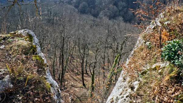 Lokalizacja Rosja Republika Adygea Pobli Wsi Kamennomostsky Jedno Najpiękniejszych Miejsc — Zdjęcie stockowe