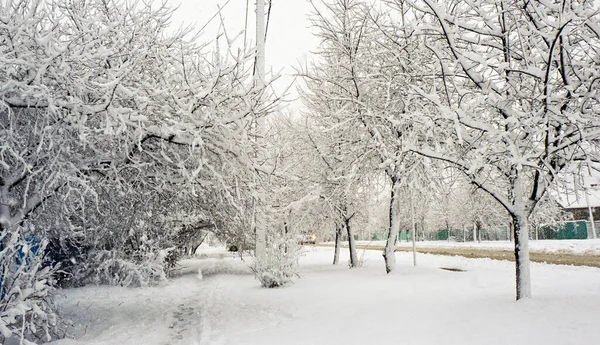 俄罗斯 克拉斯诺达尔领地 乌斯季拉宾斯克市 俄罗斯南部库班的冰雪是很少见的 成人和儿童都喜欢下雪 大自然太神奇了 — 图库照片