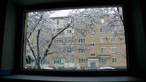 Lokalizacja Rosja Terytorium Krasnodarskie Miasto Ust Labinsk Śnieg Mróz Kubanie — Zdjęcie stockowe
