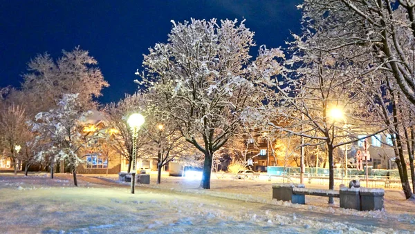 Ночная Зимняя Уличная Фотография Имеет Свои Прелести Место Нахождения Россия — стоковое фото