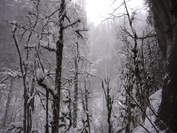 Incrível Natureza Inverno Das Montanhas Cáucaso Localização Rússia Região Guam — Vídeo de Stock