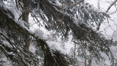 Kafkas Dağları 'nın şaşırtıcı kış doğası. Yer Rusya, Guam Gorge bölgesi. Eğitimli yürüyüşçüler için kullanılabilir. 