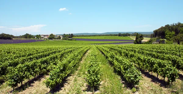 Provenza en el sur de Francia —  Fotos de Stock