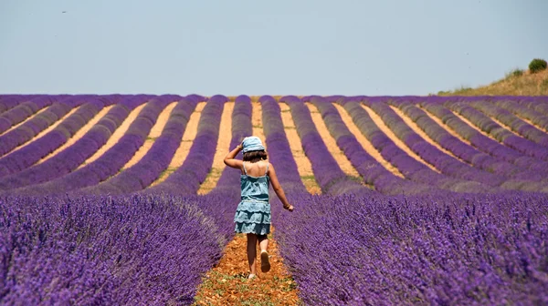 Güney Fransa 'da Provence